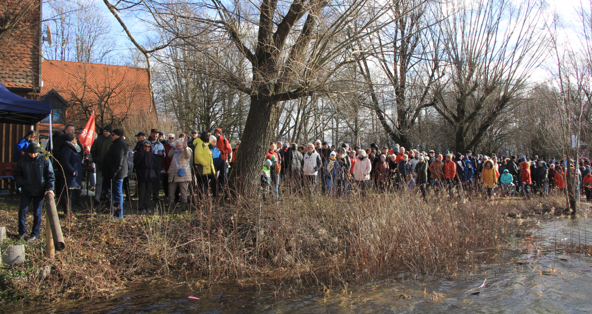 ne-neufahrn-neujahrsschwimmen-2024